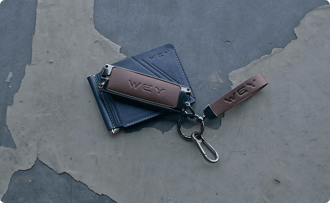 Разработка и производство мерча Wey